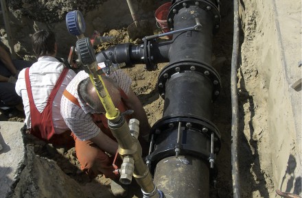 Viking Johnson MegaFit  Bielefeld 