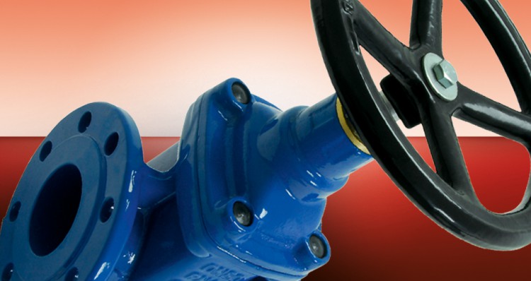 Viking Johnson Resilient Seated Gate Valve cgi Viking Johnson Resilient Seated Gate Valve cgi