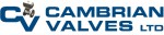 Cambrian Valves