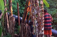 borneo water treatment