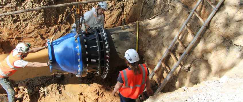 nimes project big testimonial