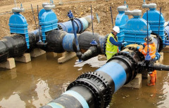 Tees case study.webp